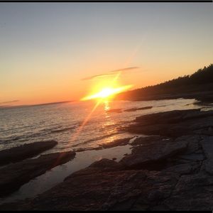 Meet your Posher, Hallie